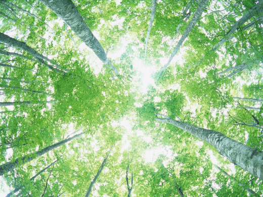 39157 (a): :1600x1200